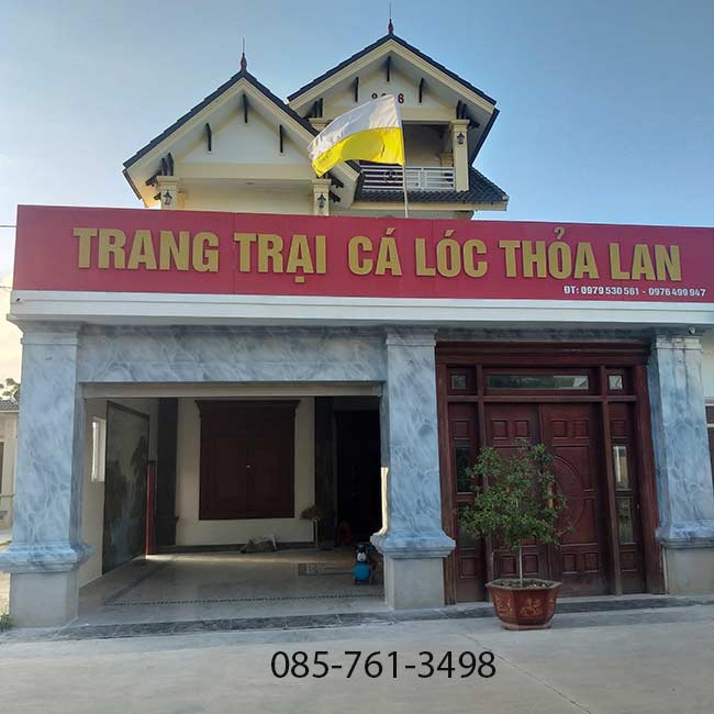 mặt tiền sơn giả đá