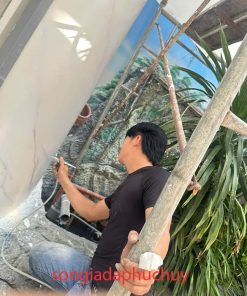 Sơn Giả Đá 3D Cột Tròn Tạo Hiệu Ứng Cột Chuẩn Kiến Trúc